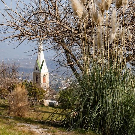 Apartament San Antonia Caldaro Zewnętrze zdjęcie