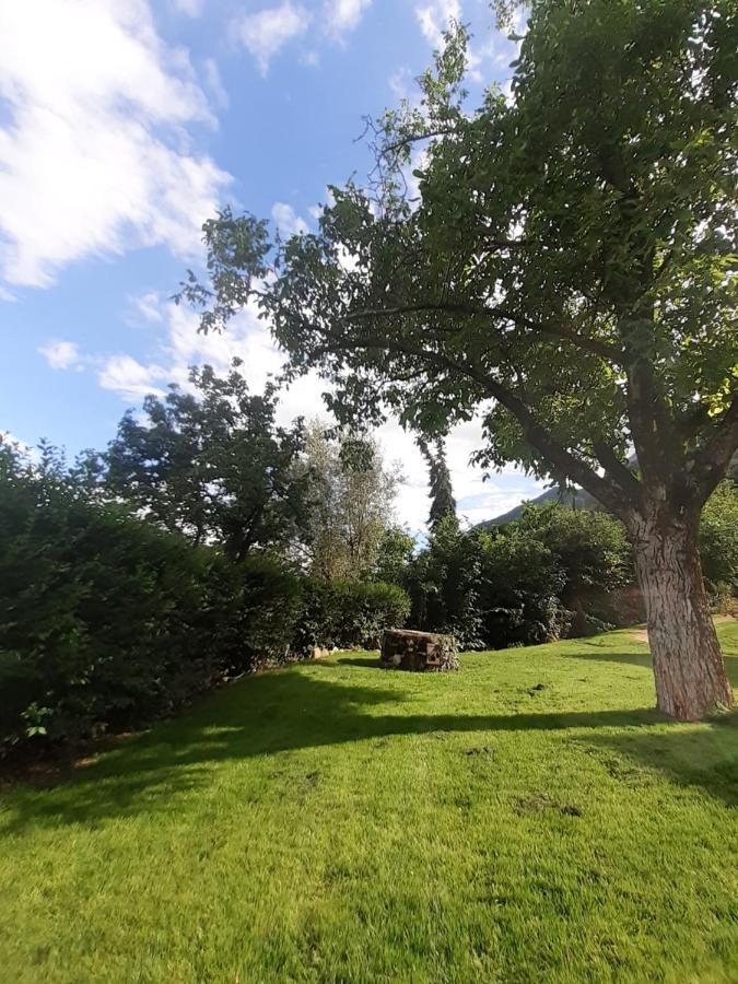 Apartament San Antonia Caldaro Zewnętrze zdjęcie