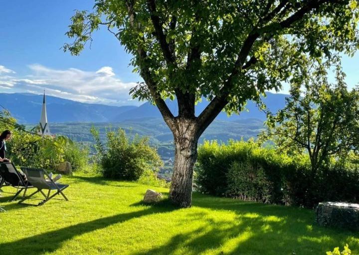 Apartament San Antonia Caldaro Zewnętrze zdjęcie