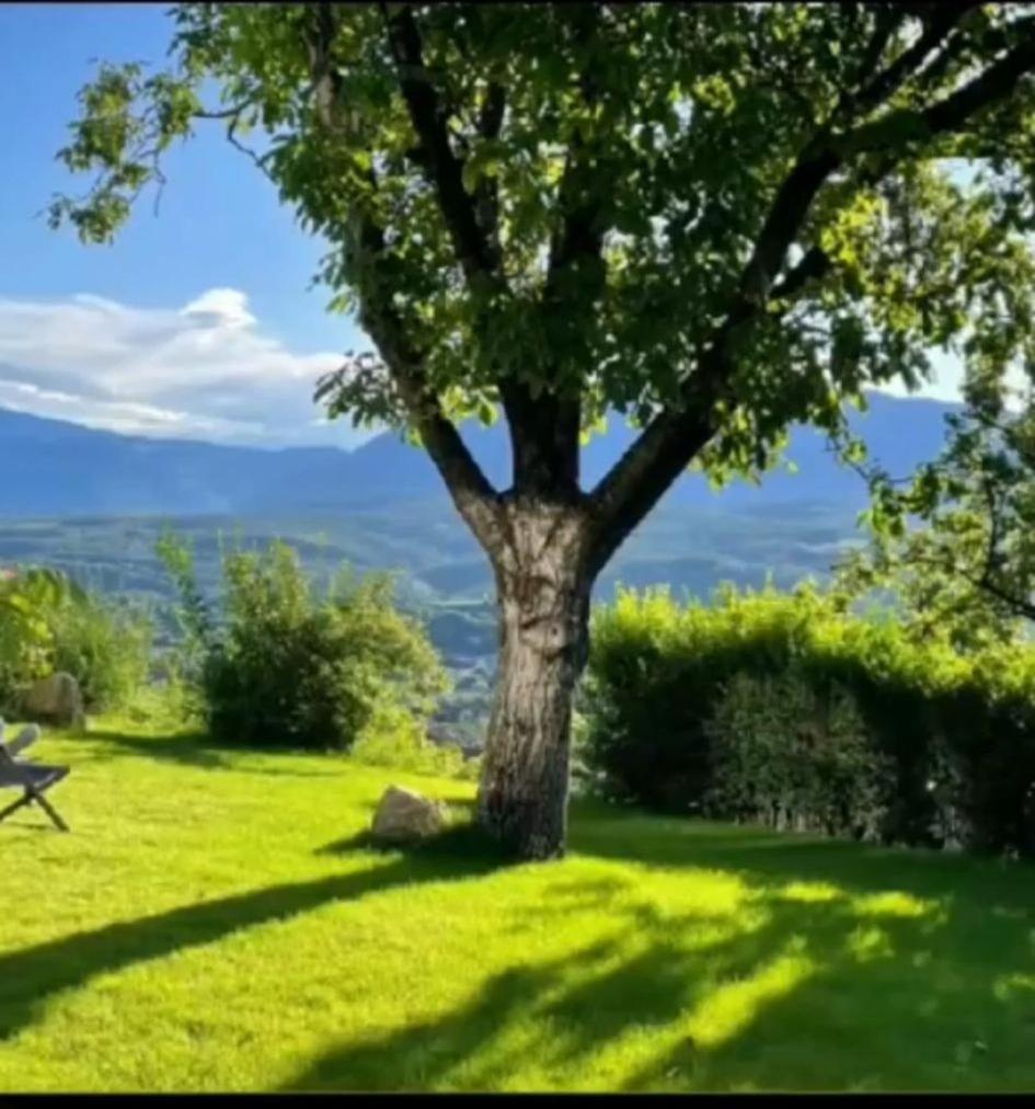 Apartament San Antonia Caldaro Zewnętrze zdjęcie